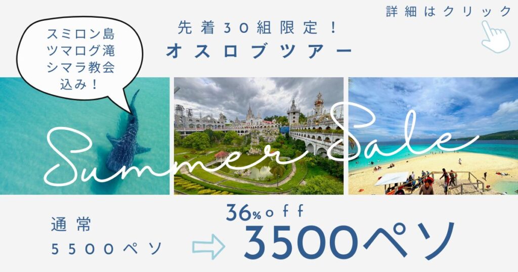 セブホッピー ジンベイザメツアー 予約
